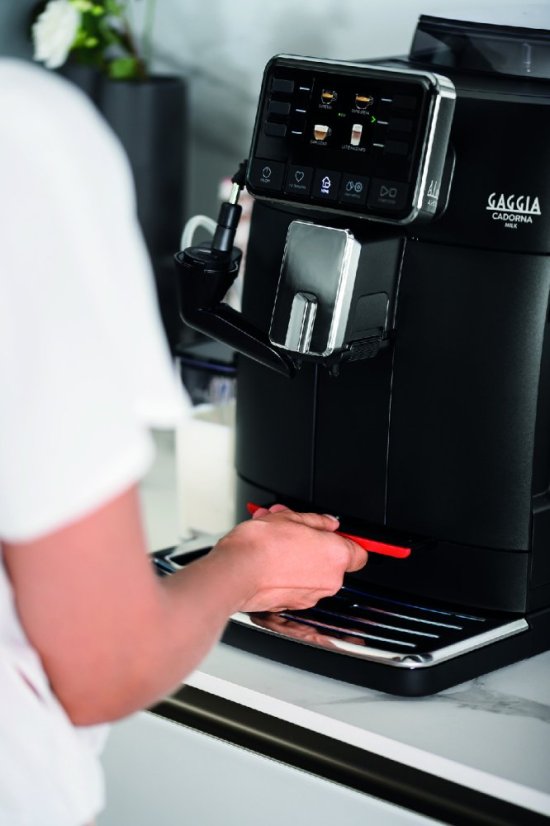 Gaggia Cadorna Milk