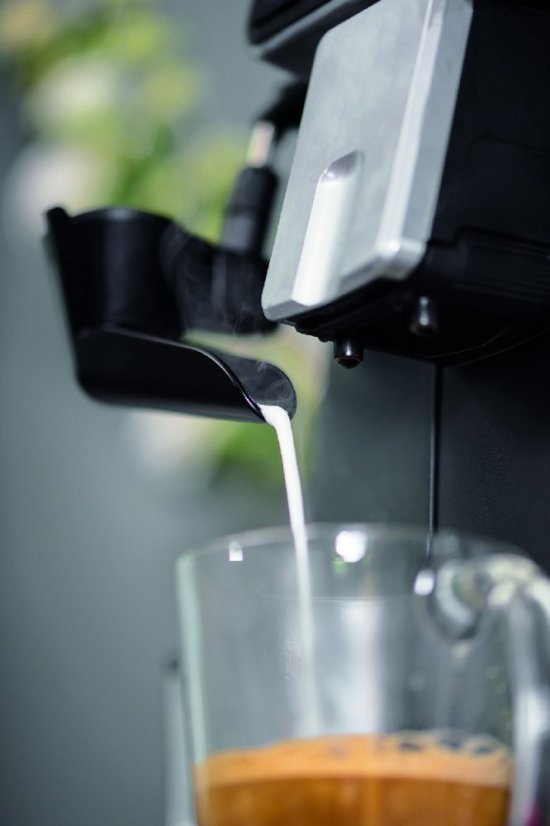 Cadorna Milk Gaggia2040